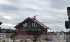 Грибная поляна в Щелковском районе